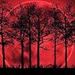 Blood Moon