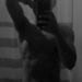 foto de Said Auditore