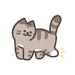 gatitos hermosoos