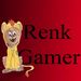 Renk Gamer