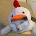 foto de Sethning Oyasumi