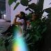 foto de Sharay Rodriguez