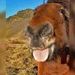 foto de Abner Henrique