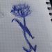 Arellys Arias