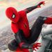 Silend Spider814