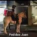 foto de Mateo Melgarejo
