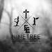 Ninetree Rock