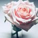 Les Fleurs Du Mal