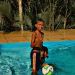 foto de Murilo Alves