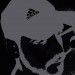 Ophius
