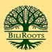 Biliroots rotts