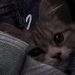 foto de Monny Chan