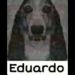 foto de Daniel Pinheiro