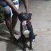 foto de Luiz Antonio