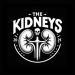 The Kidneys