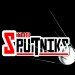The Sputniks
