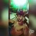 Thiago Borges
