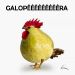 foto de Eddy tabs