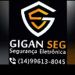 Gigan seg Segurança eletrônica