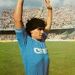 Belli D