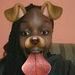 Mel Drew Malik