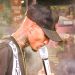 Mc Michaell Oficiall