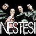 AnesTesiA