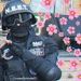 foto de Matteo menezes