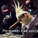 foto de Nicco