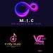 V City Music Ent