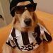 ANDRE HENRIQUE