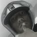 Willian Gabriel
