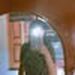 foto de Assisly Canales