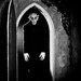 foto de Nosferatu Vampyre