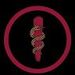 Odontologia Turma Dez
