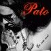 Pato