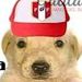 RODRIGO GALINDO TICSE
