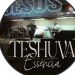 TESHUVÁ ESSÊNCIA