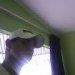 Andere sheckman bezerra chaves