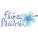 Flores de Plâncton
