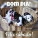 foto de Herbert Okamoto