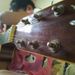 cacau_claudiagc_ Galvão Corrêa