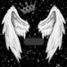 Vicente_ _villarroel (Vix0o)