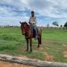 Luizinholuz Eliezer luz