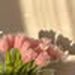 foto de Ximee Cruz