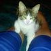berenice rivas