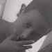 foto de Kelvin Isaque