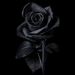 Dumilde Normani Ndonda Martins