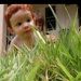 foto de Vinícius Bim