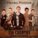 BANDA CIA COUNTRY